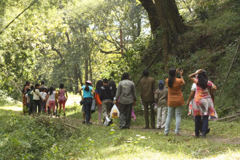 ECG (ENVIRONMENT CONSERVATION GROUP)