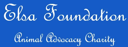Elsa Foundation