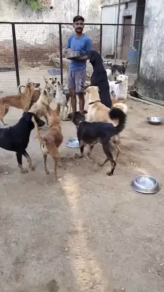 Faridabad Voice of Voiceless Foundation