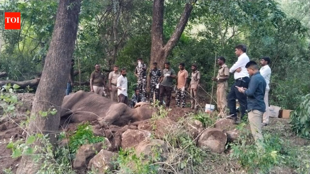 Female elephant dies despite treatment in ATR