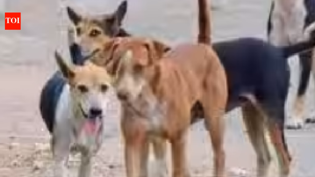 Fencing of dog shelter at Brahmapuram site to begin soon