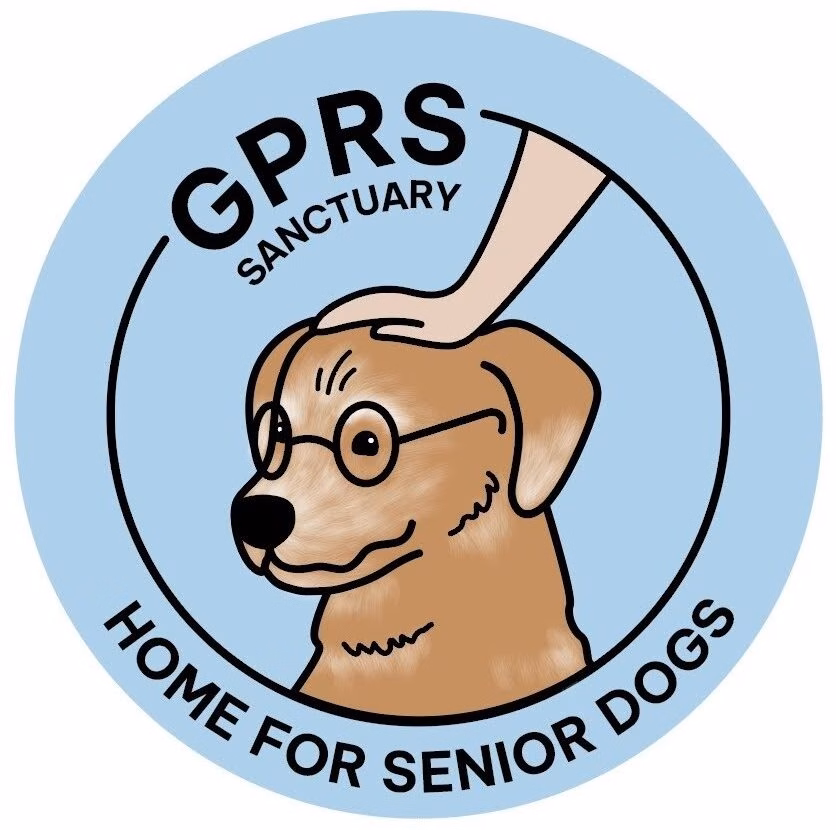 GPRS Sanctuary – Gomantak Pashu Rakshak Sanstha (Home For Senior Dogs)