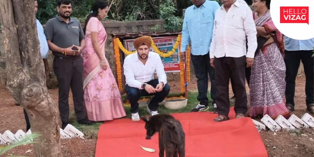 GVMC plans 25 dedicated feeding zones for stray dogs across Visakhapatnam