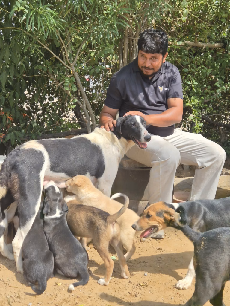 Hope and Beyond Wildlife Rescue, Jaipur