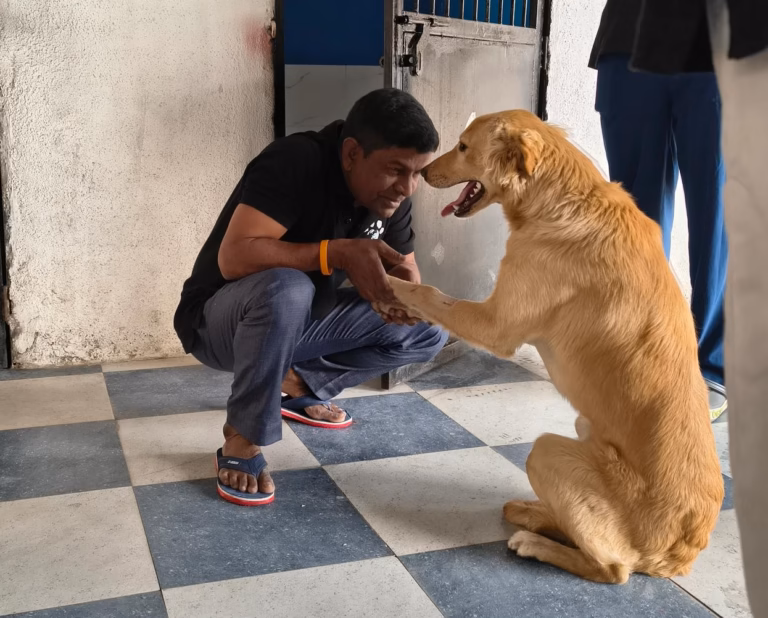 HOPE & Animal Trust