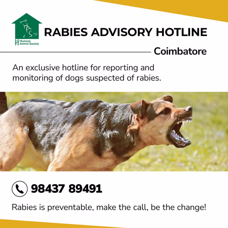Humane Animal Society -Street Dog Sterlisation Centre