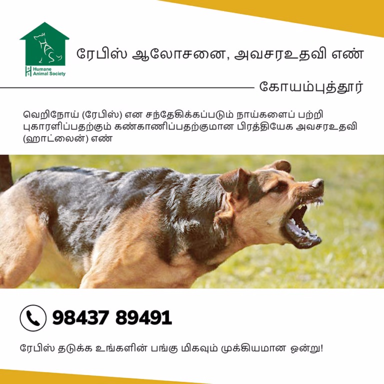 Humane Animal Society -Street Dog Sterlisation Centre