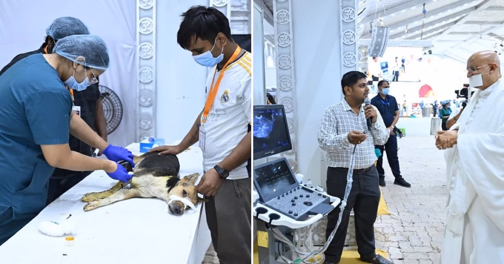 Jain saint’s animal camp in Mumbai conducts 101 complex veterinary surgeries in 2 days