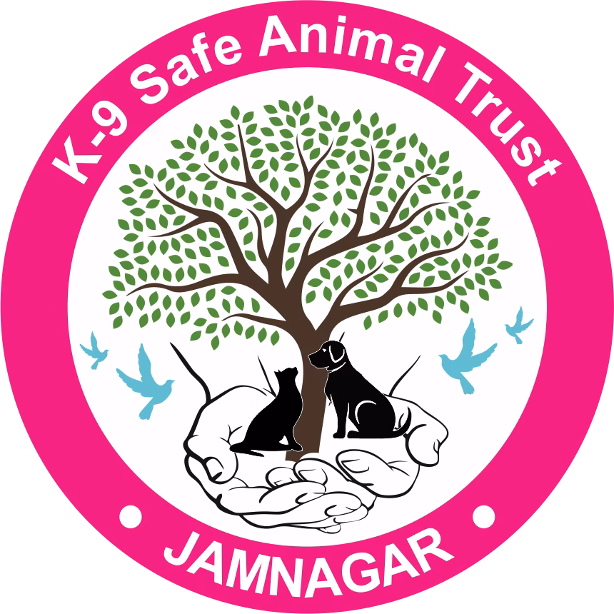 K9Safeanimal