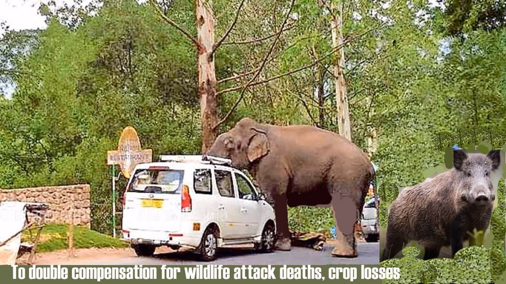 Keralam hikes compensation for wildlife attack deaths, disabilities by 25 pc