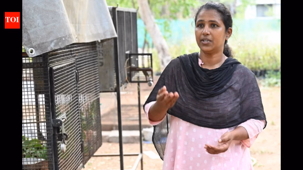 Kovai Heroes: This woman has helped scores of birds get a second chance in sky