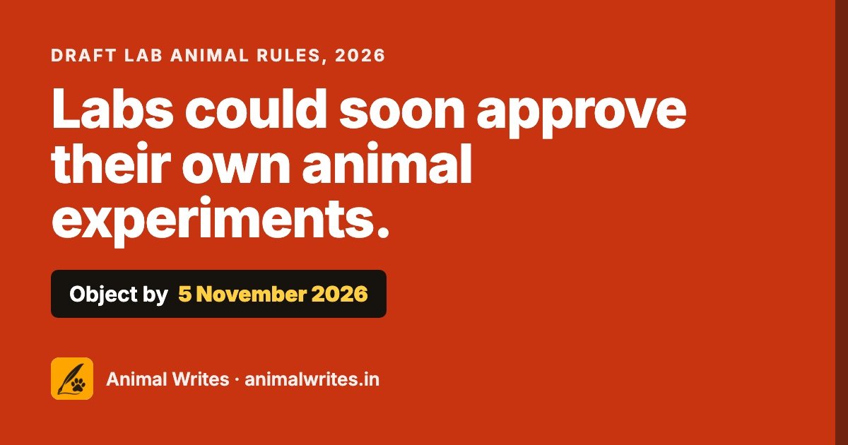 Object to the draft lab animal rules 2026