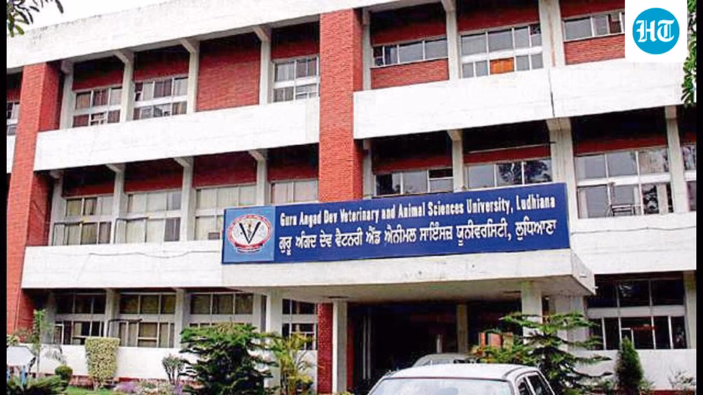 Ludhiana: Vet varsity plans to set up centre of excellence to tackle fodder crisis