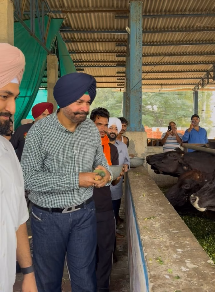 Navjot Singh Sidhu visits cow shelter in Narayangarh