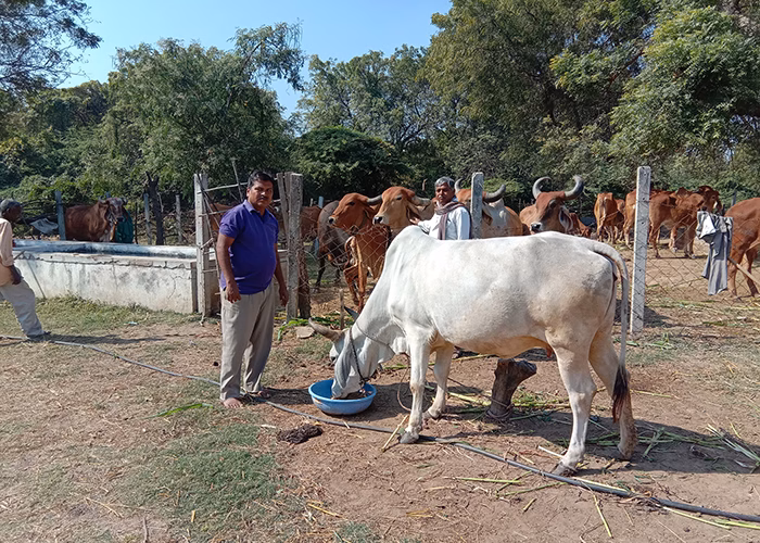 Om Sevashram Trust Gaushala