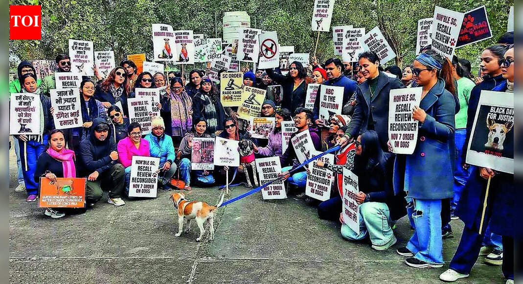 Lucknow joins nationwide protest against SC order on community dogs | Lucknow News – The Times of India