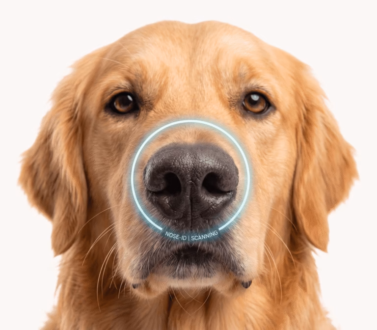 Society for Animal Safety, India