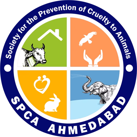 SPCA Ahmedabad