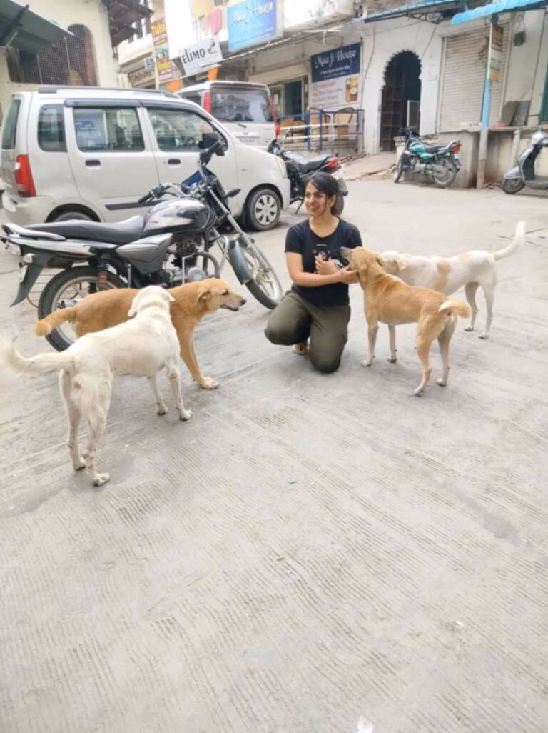Support strays Udaipur