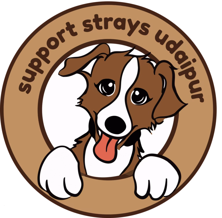 Support strays Udaipur