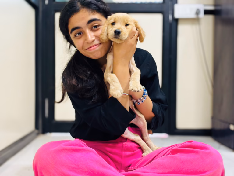 The God’s Gift Foundation Animal Helpline