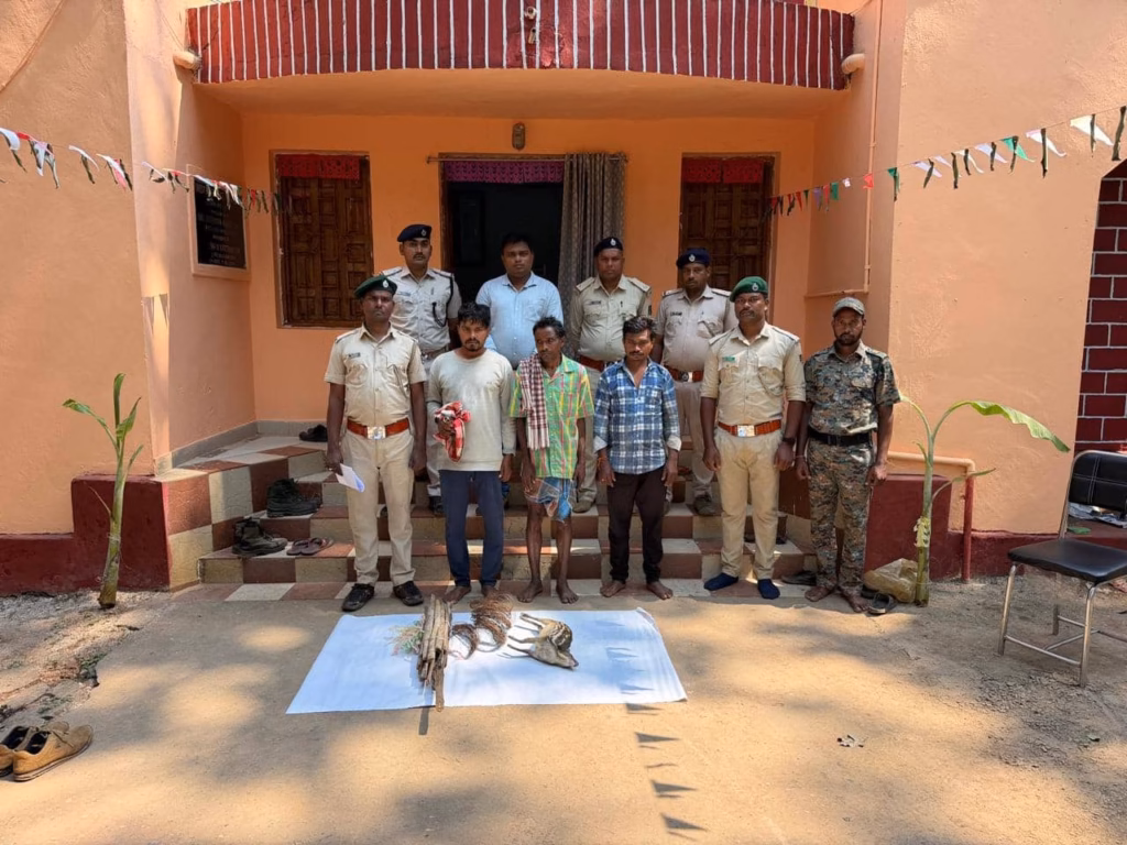 Three poachers nabbed from Kandhamal forest, mouse deer carcass seized