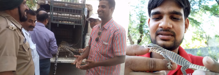 UDAIPUR SNAKE CATCHER PADAM singh