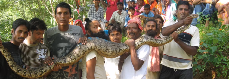 UDAIPUR SNAKE CATCHER PADAM singh