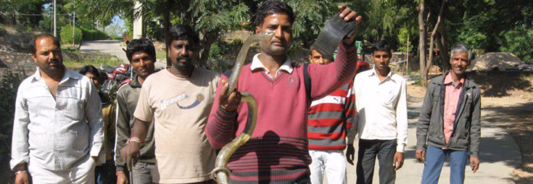 UDAIPUR SNAKE CATCHER PADAM singh