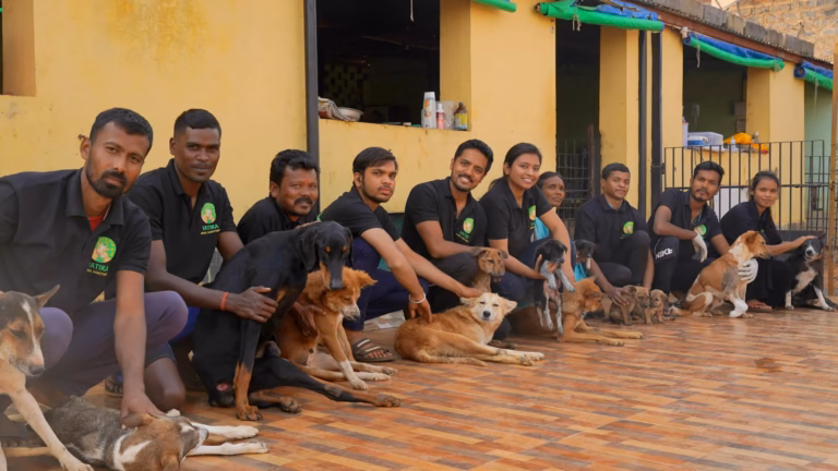 Vatika Animal Sanctuary