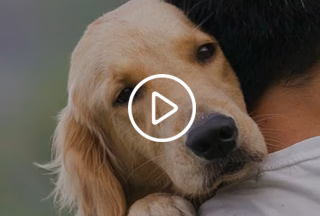 Vatsalya Animal Care Trust