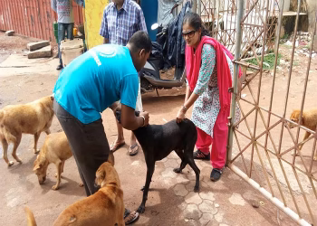 Vatsalya Animal Care Trust