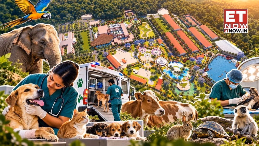 Who pays for saving animals? The business of veterinary hospitals, ambulances, shelters and advanced animal healthcare in India