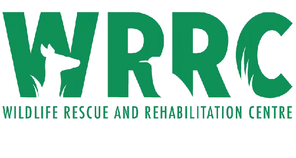 Wildlife Rescue & Rehabilitation Centre