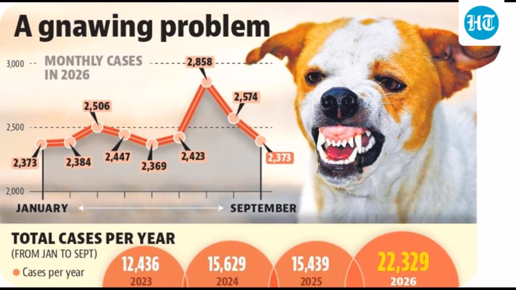 With 82 dog bite cases a day, stray menace haunts Mohali streets