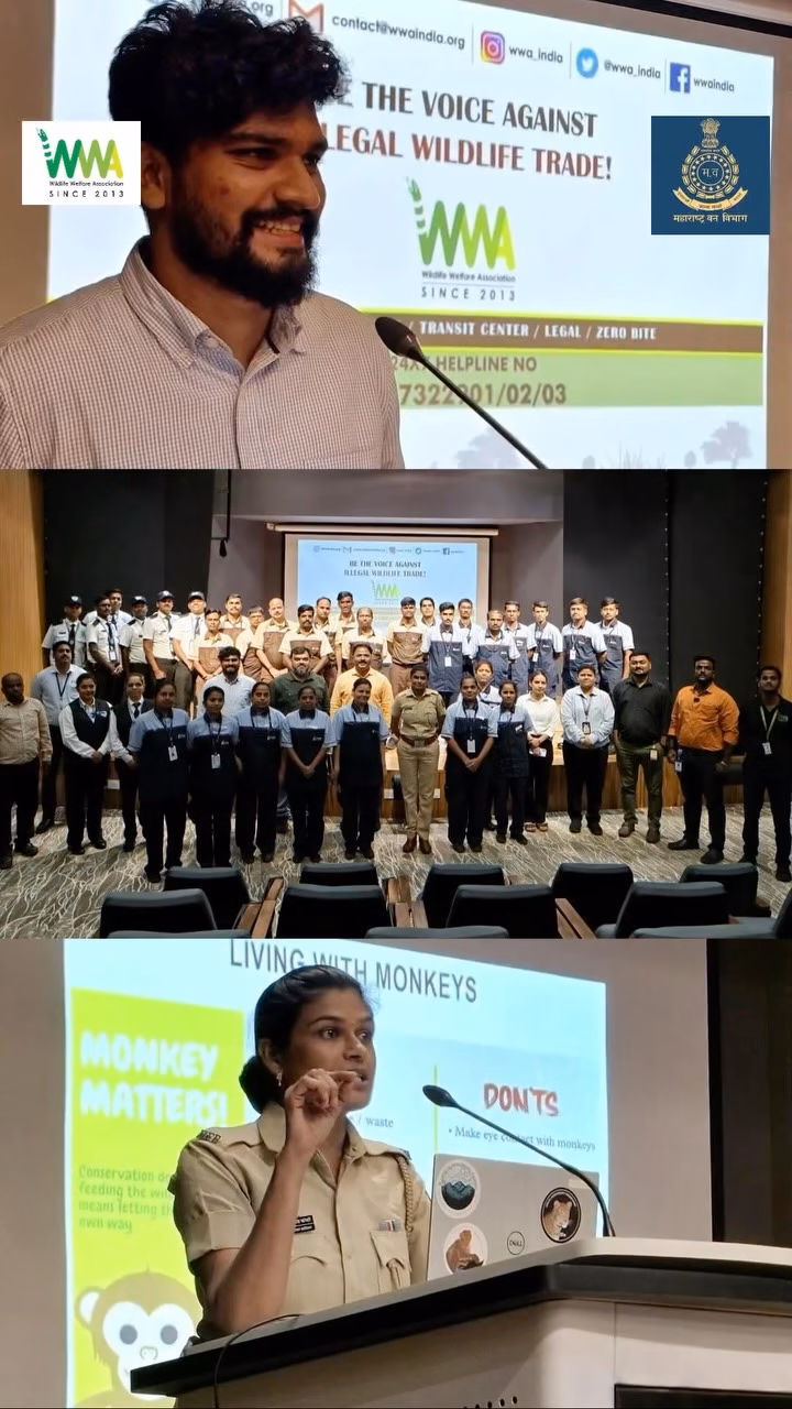 Wwa India , wildlife welfare association
