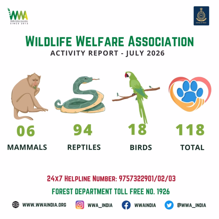 Wwa India , wildlife welfare association